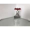 stainless steel globe valve with ANSI standard